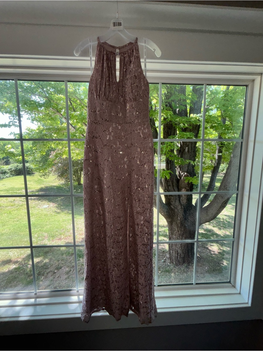 Oleg Cassini Blush Lace Evening Dress